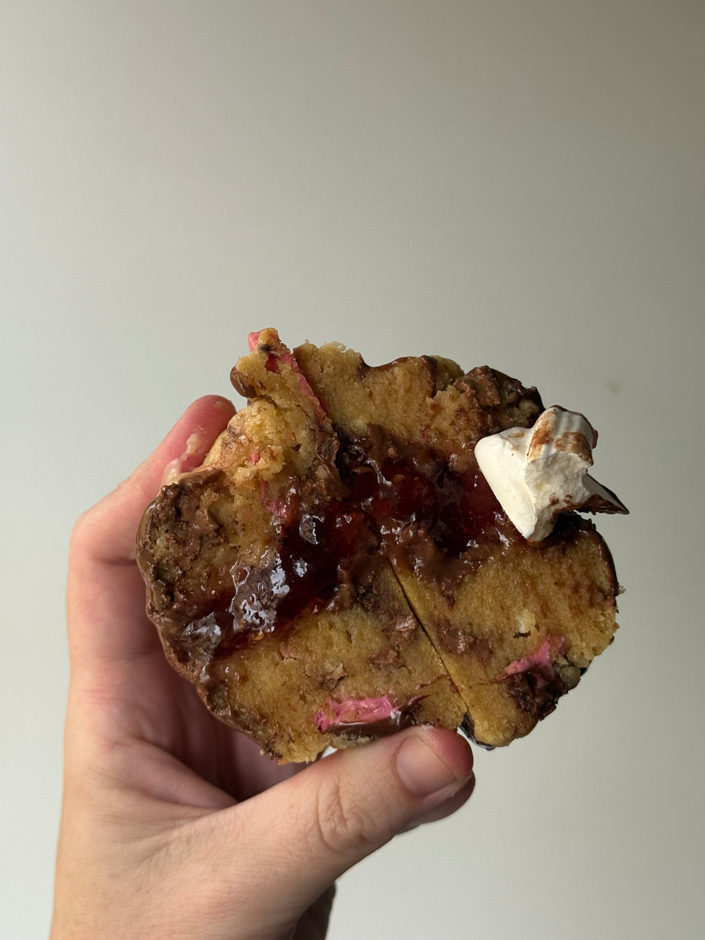 Christmas Cookie Collection 