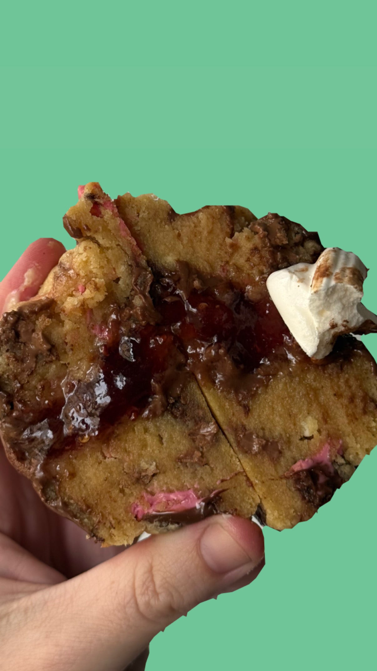 Christmas Cookie Collection 